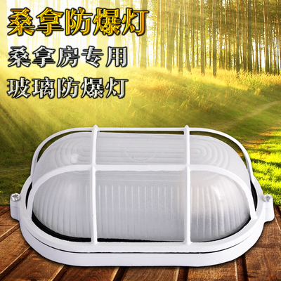 DAVEY 桑拿房干蒸房湿蒸房设备配件 椭圆形防爆灯 安全照明桑拿灯