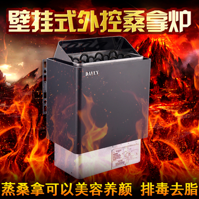 DAVEY/戴威 家用桑拿炉 汗蒸炉 干蒸炉子 桑拿房设备 桑拿加热器